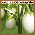 Eierbaum-Frucht
