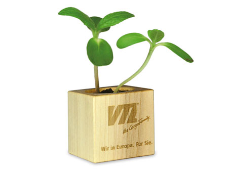 Pflanzholz Mini